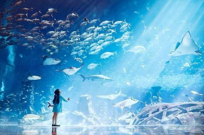 The Lost Chambers Aquarium || Trip to Dubai’s Paradise